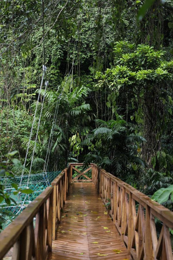 Jade Jungle Resort Teakettle Village Exterior foto