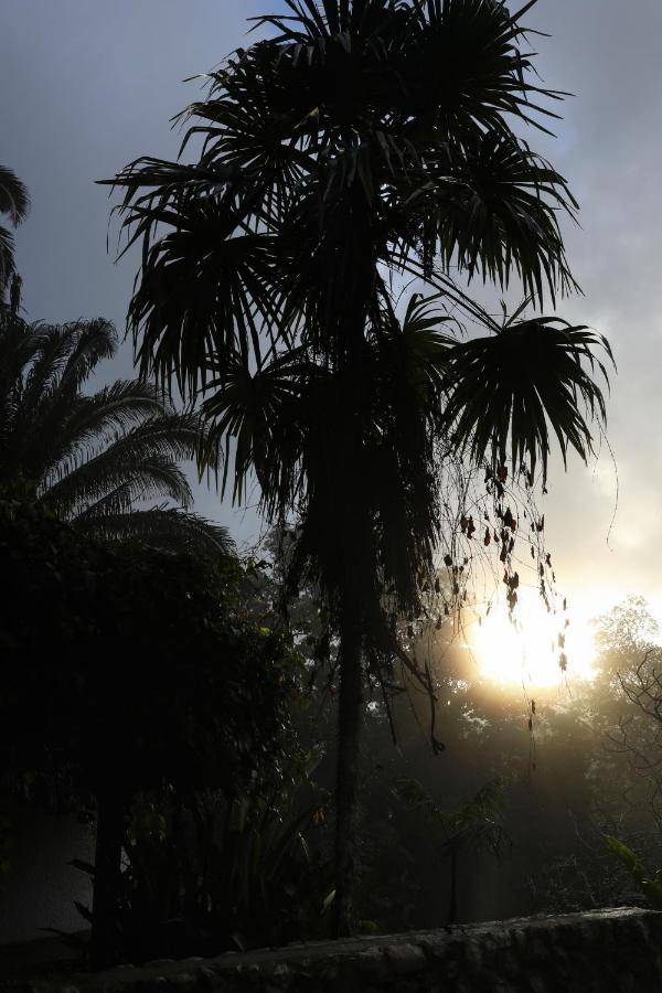 Jade Jungle Resort Teakettle Village Exterior foto
